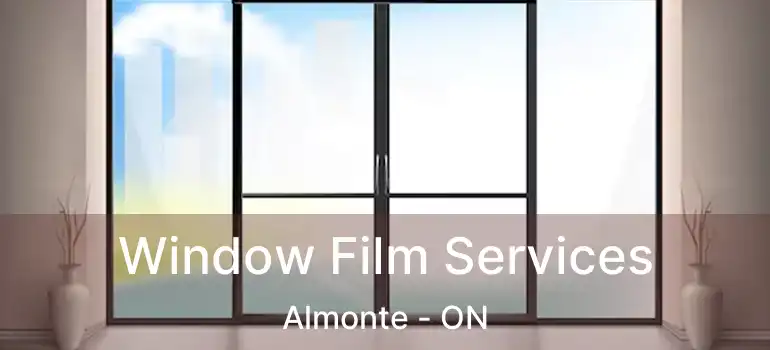  Window Film Services Almonte - ON