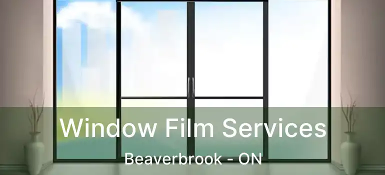  Window Film Services Beaverbrook - ON