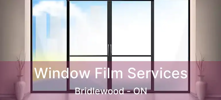  Window Film Services Bridlewood - ON