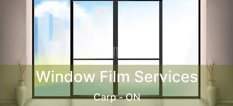  Window Film Services Carp - ON