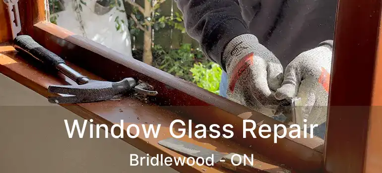  Window Glass Repair Bridlewood - ON