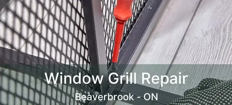  Window Grill Repair Beaverbrook - ON