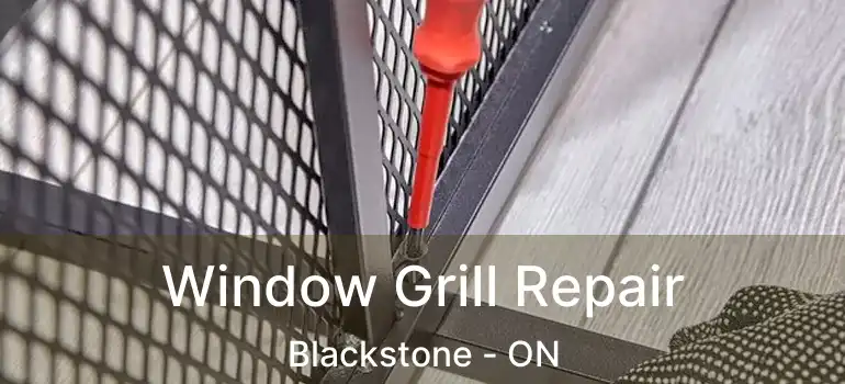  Window Grill Repair Blackstone - ON