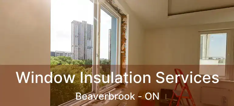  Window Insulation Services Beaverbrook - ON