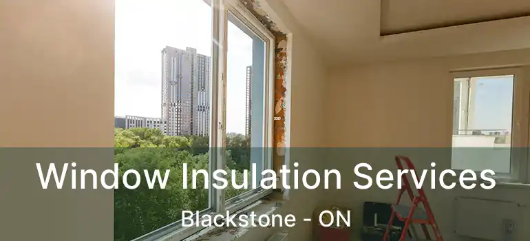  Window Insulation Services Blackstone - ON