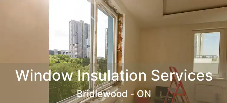  Window Insulation Services Bridlewood - ON
