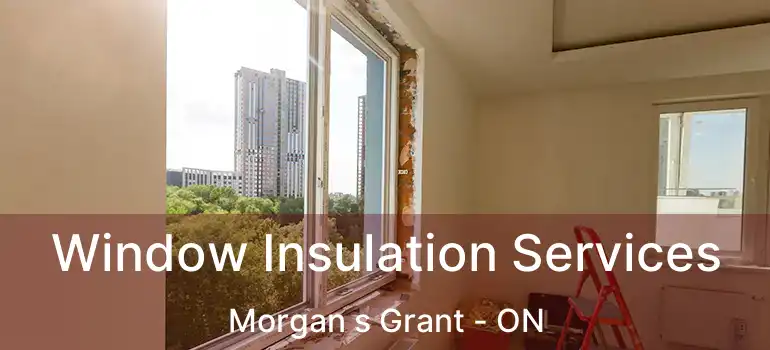 Window Insulation Services Morgan s Grant - ON
