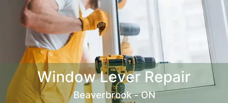  Window Lever Repair Beaverbrook - ON