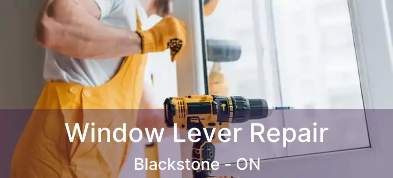  Window Lever Repair Blackstone - ON