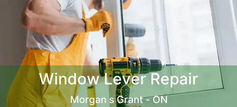  Window Lever Repair Morgan s Grant - ON