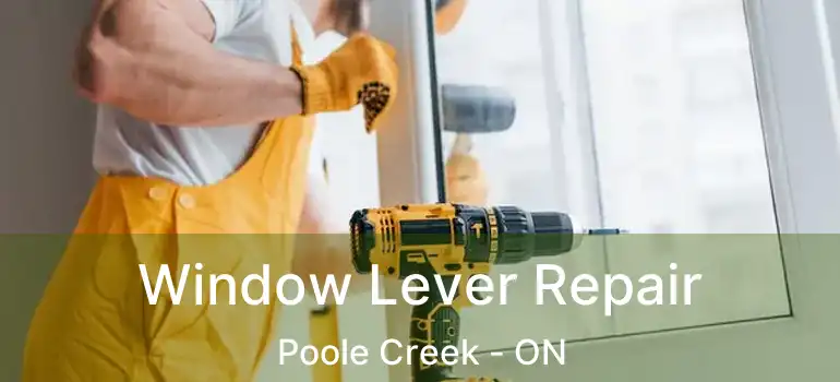  Window Lever Repair Poole Creek - ON