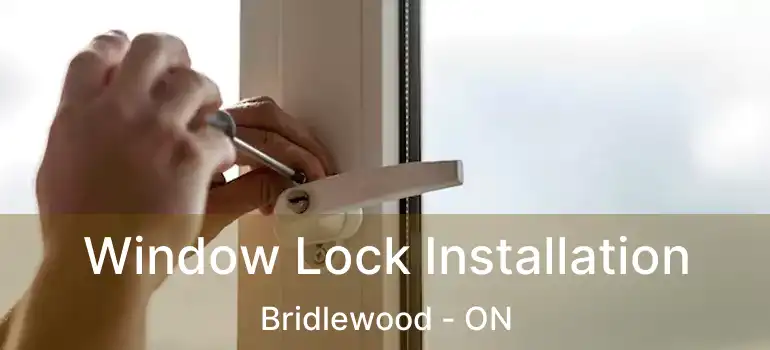 Window Lock Installation Bridlewood - ON