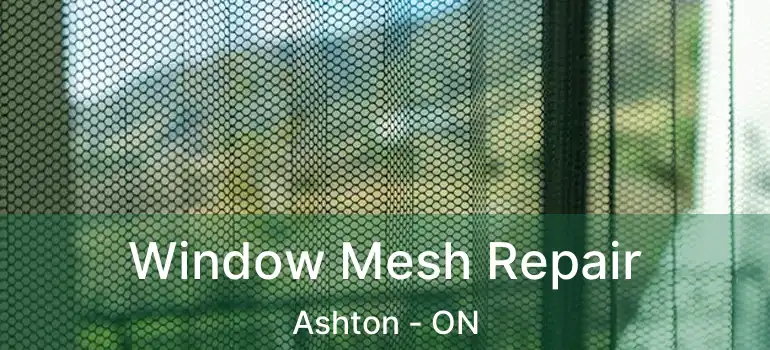 Window Mesh Repair Ashton - ON