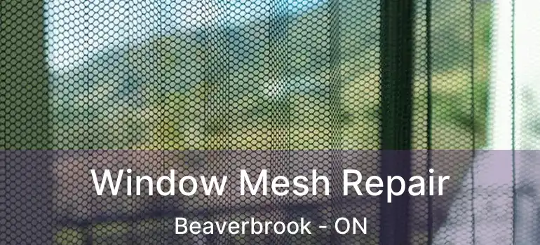  Window Mesh Repair Beaverbrook - ON