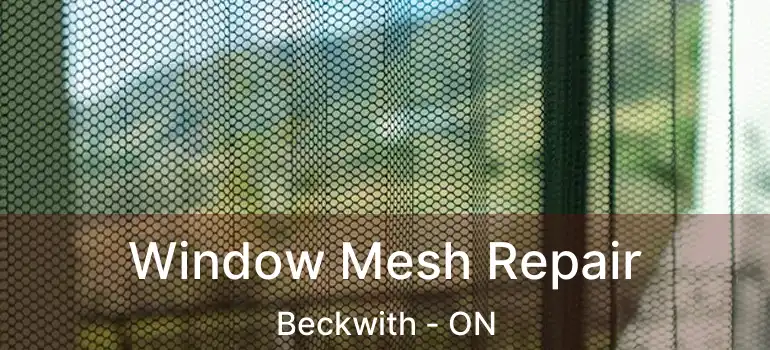  Window Mesh Repair Beckwith - ON