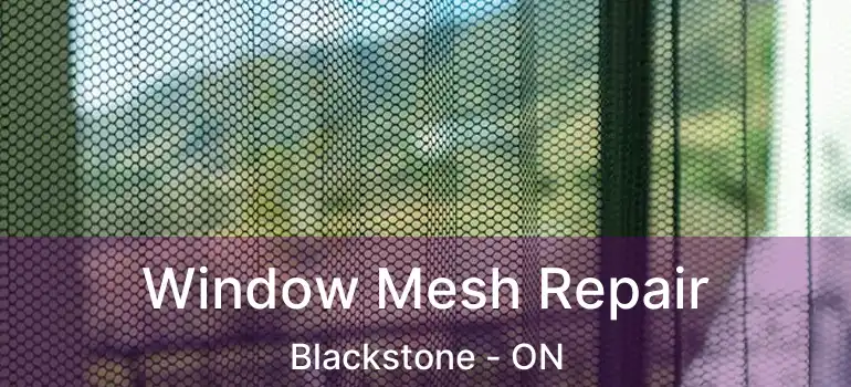  Window Mesh Repair Blackstone - ON