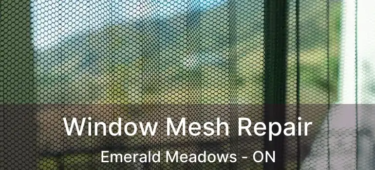  Window Mesh Repair Emerald Meadows - ON