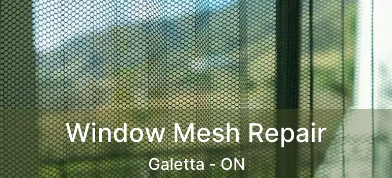  Window Mesh Repair Galetta - ON