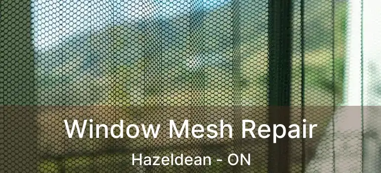  Window Mesh Repair Hazeldean - ON