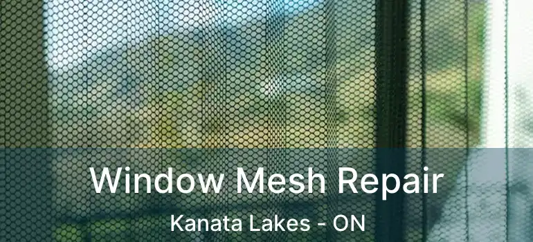  Window Mesh Repair Kanata Lakes - ON