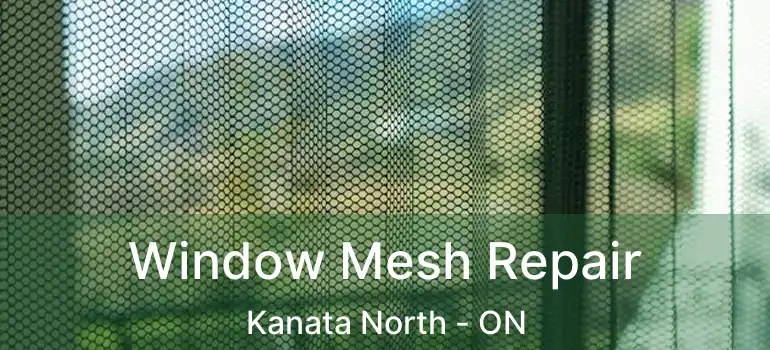  Window Mesh Repair Kanata North - ON