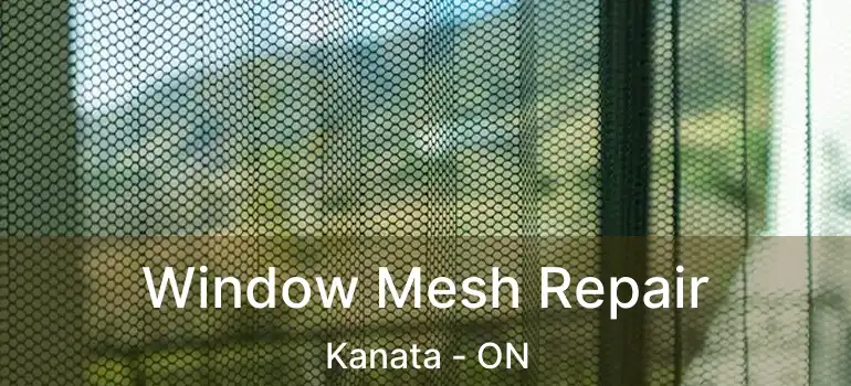  Window Mesh Repair Kanata - ON