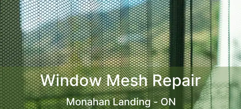  Window Mesh Repair Monahan Landing - ON