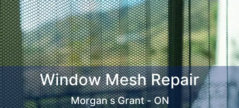  Window Mesh Repair Morgan s Grant - ON