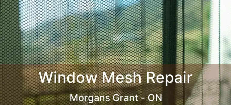  Window Mesh Repair Morgans Grant - ON