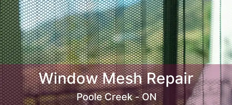  Window Mesh Repair Poole Creek - ON