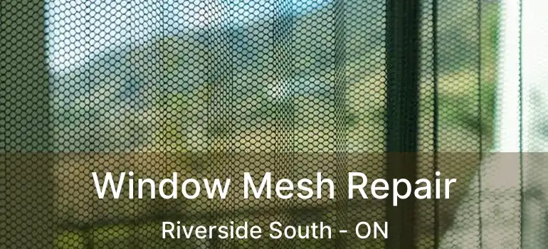  Window Mesh Repair Riverside South - ON