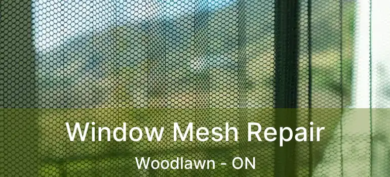  Window Mesh Repair Woodlawn - ON