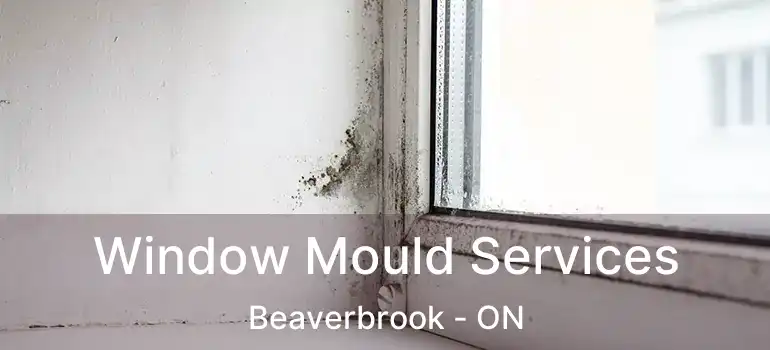  Window Mould Services Beaverbrook - ON