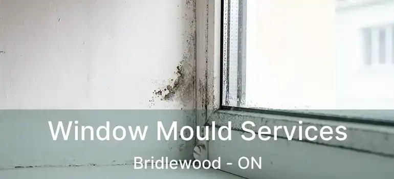 Window Mould Services Bridlewood - ON