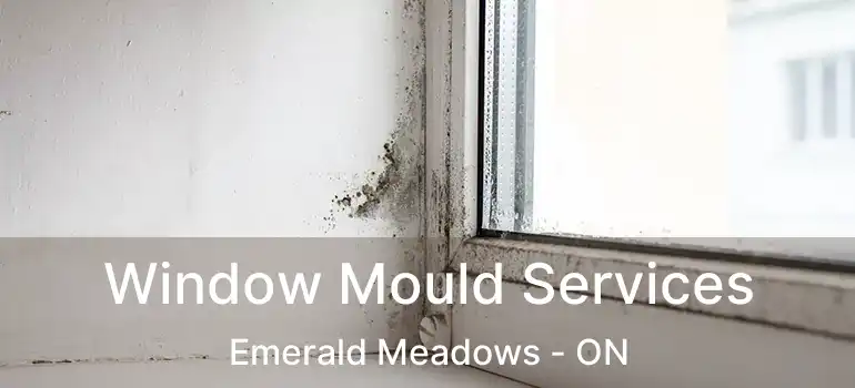  Window Mould Services Emerald Meadows - ON