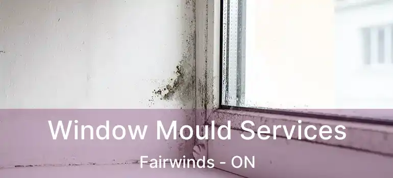  Window Mould Services Fairwinds - ON