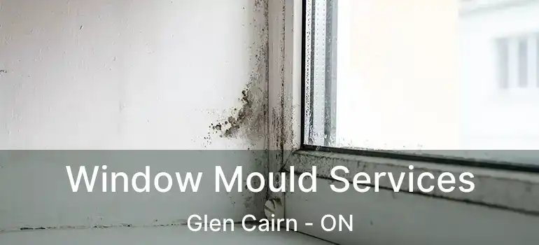  Window Mould Services Glen Cairn - ON