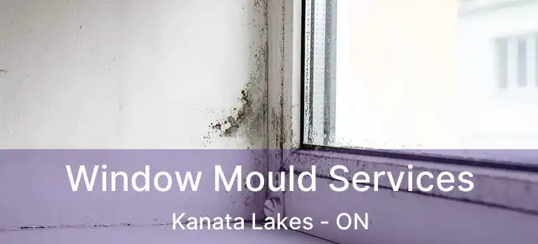  Window Mould Services Kanata Lakes - ON