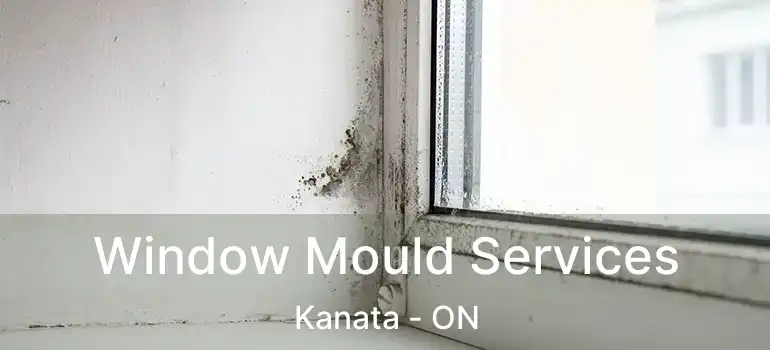  Window Mould Services Kanata - ON