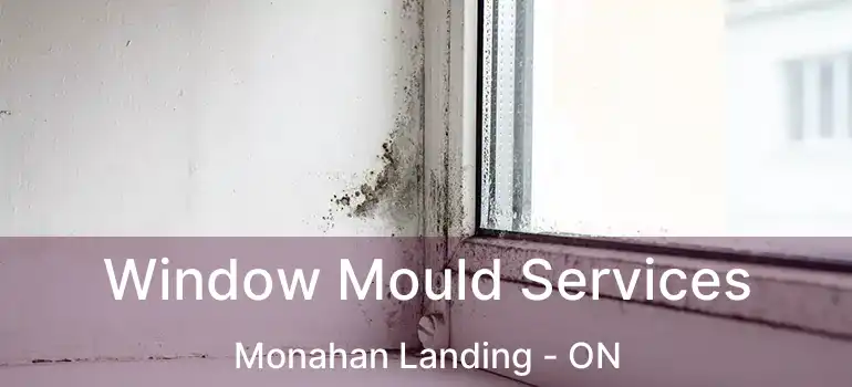  Window Mould Services Monahan Landing - ON