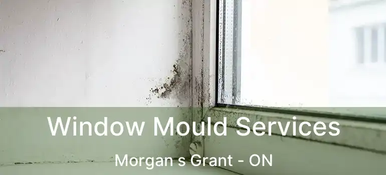  Window Mould Services Morgan s Grant - ON