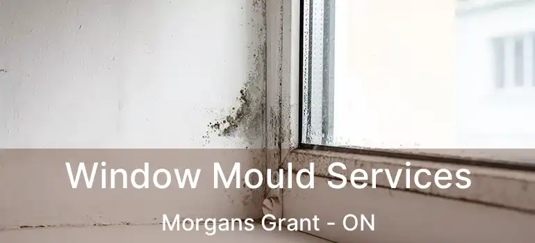  Window Mould Services Morgans Grant - ON