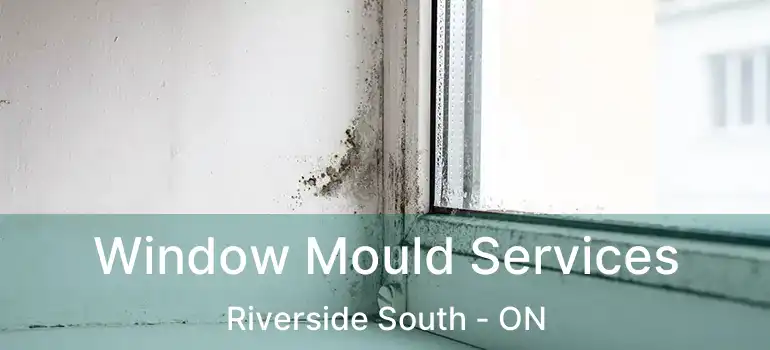  Window Mould Services Riverside South - ON
