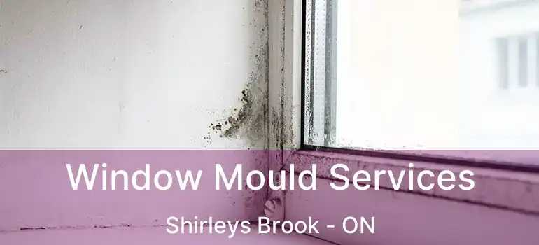  Window Mould Services Shirleys Brook - ON