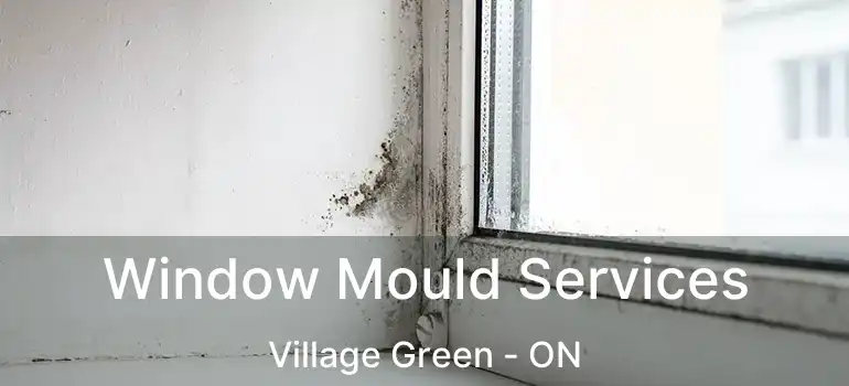  Window Mould Services Village Green - ON