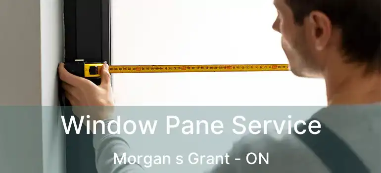  Window Pane Service Morgan s Grant - ON