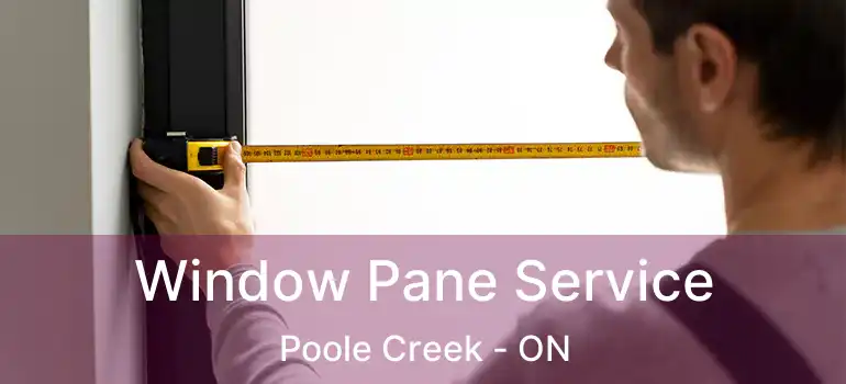  Window Pane Service Poole Creek - ON
