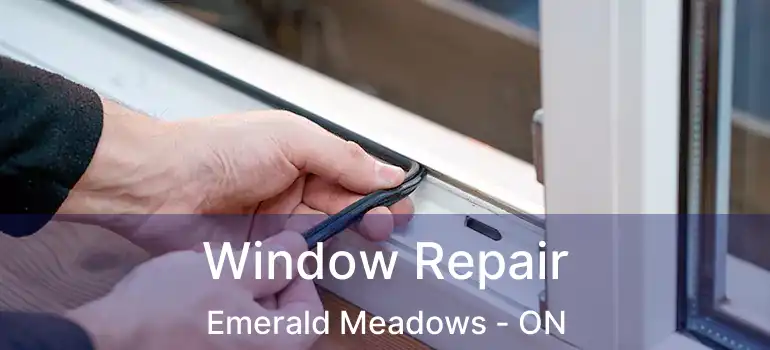  Window Repair Emerald Meadows - ON