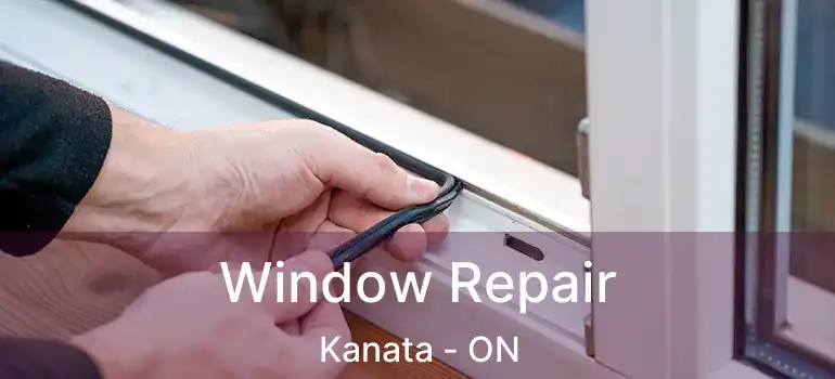  Window Repair Kanata - ON