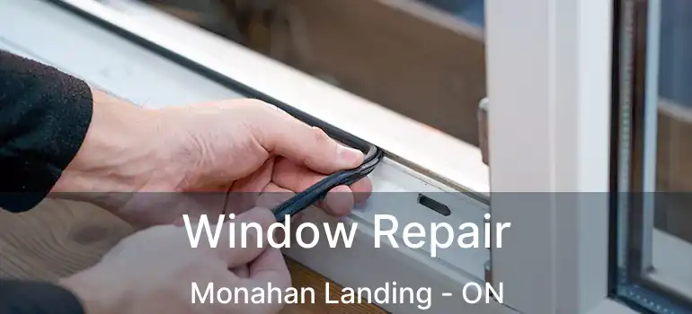  Window Repair Monahan Landing - ON